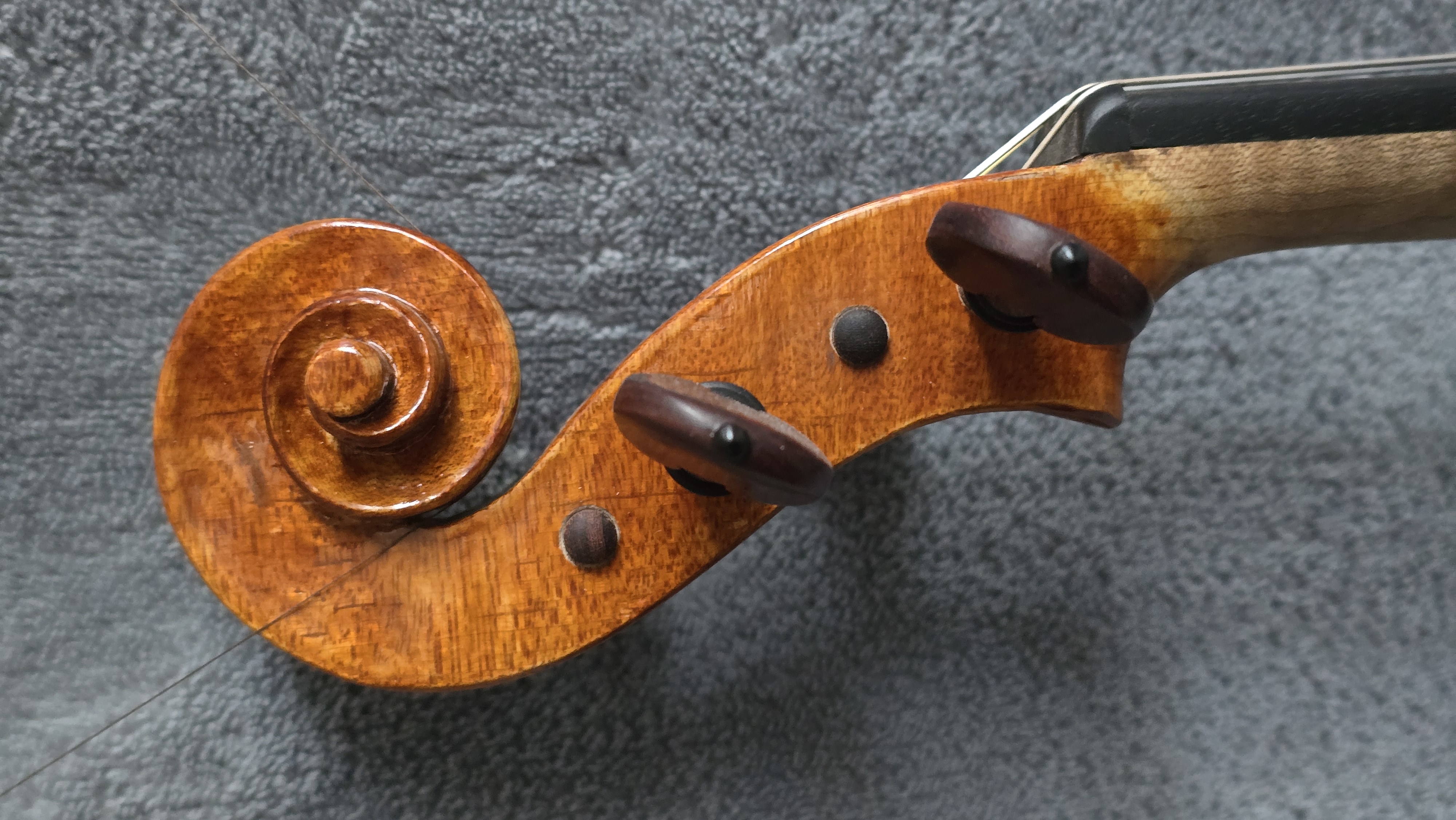 Photo of (2020) Violin "Proton"